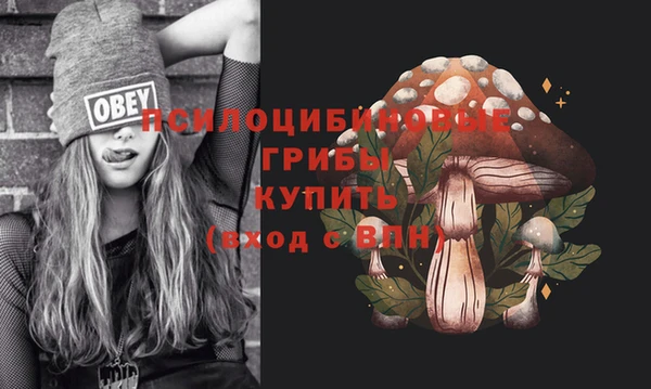 ПСИЛОЦИБИНОВЫЕ ГРИБЫ Няндома