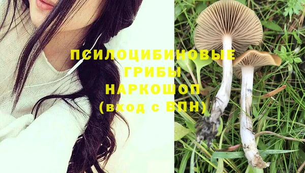 ПСИЛОЦИБИНОВЫЕ ГРИБЫ Няндома